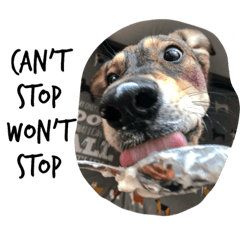 Toast the Mutt 4 - I love yogurt