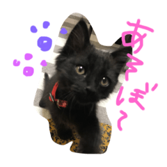 nonchan.u
