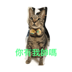 肉粽哥的日常