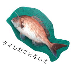 my fishing result 2018.8