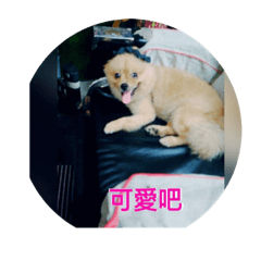 我是嘟嘟 嘟嘟是我