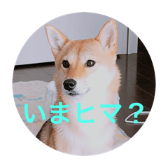 kinako_20181008155304