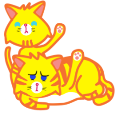 Twin yellow cat