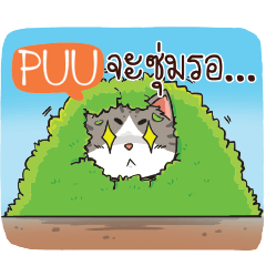 PUU cheeky cat e