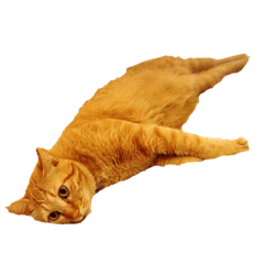 natsumi_20181008224022