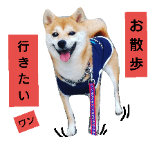 omame stamps2