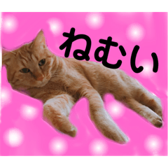 natsumi_20181008224146