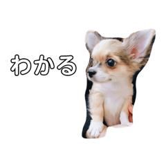 marina_20181009010041