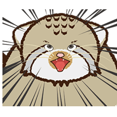 マヌルネコのマヌルさん Line スタンプ Line Store