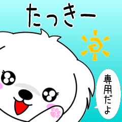 Takkii only playful Maltese Sticker