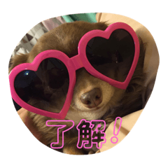 natsumi_20181009112711