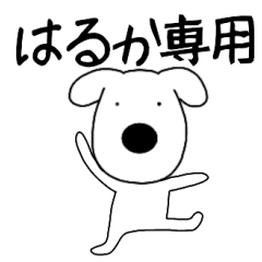 Dog dog Haruka