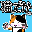 猫のでか文字