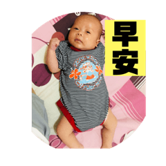 haobaby 3