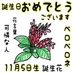 November, birth flowers,flower language.