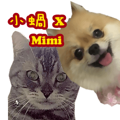 Mimi x cat Snail