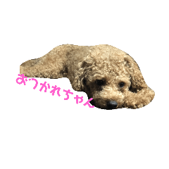 midori_20181009