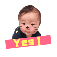 taku_yuitomaru stump