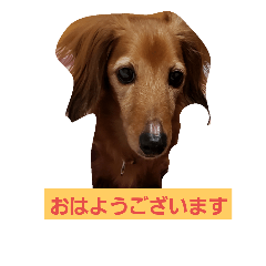 kayo_20181009215355
