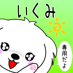 Ikumi only cute Maltese Sticker