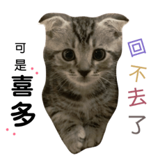 Mei_cat Theodore