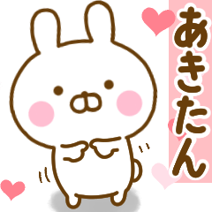 Rabbit Usahina love akitan