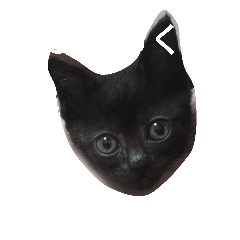 MATSU_20181010125212