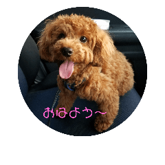 ryu_20181010051931