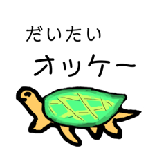 Turtle senior