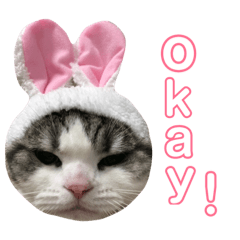 Lenny and Ron stamps