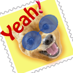 Stiker stempel pesan anjing thai lucu