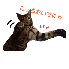 ikumi_20181010185812