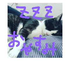 hisa_20181010225349