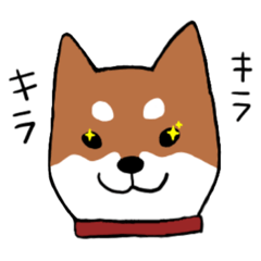 maichi_20181011001614