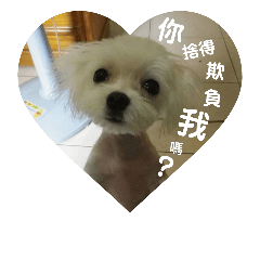 糖糖一家親