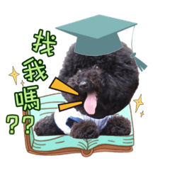 毛孩大集合～