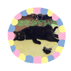 suzu_20181011191436