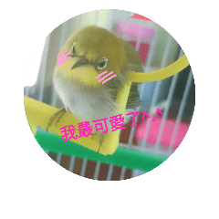 小綠的耍萌生活^.^