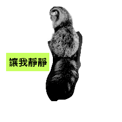 五寶貓