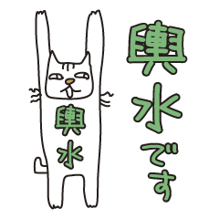 Only for Mr. Koshimizu Banzai Cat