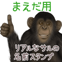 Maeda Monkey's real name Sticker