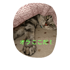 mame_20181012173841