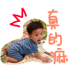 元寶大王系列！