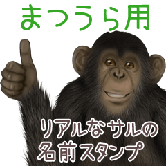 Matsuura Monkey's real name Sticker