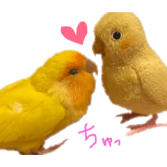 インコのからあげスタンプ Line スタンプ Line Store インコのからあげスタンプ Line スタンプ Line Store