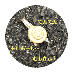 akira_20181003080905
