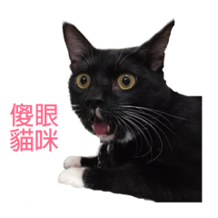 KK K哥