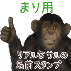 Mari Monkey's real name Sticker