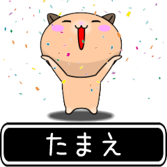 Tamae only cute high speed Sticker