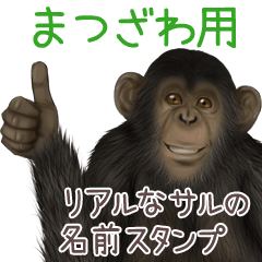 Matsuzawa Monkey's real name Sticker
